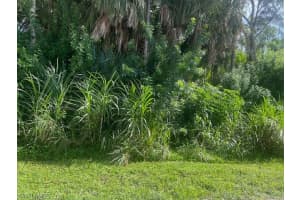 Xxx Pine Tree Dr, Naples