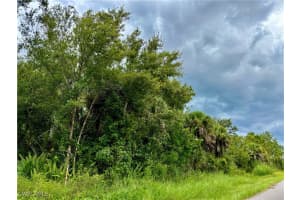 26373 & 26377 Deer Rd, Punta Gorda