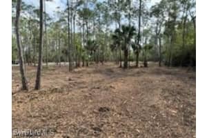24443 Rocky Rd, Bonita Springs