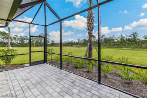 17716 Palmetto Pass Ln, Babcock Ranch