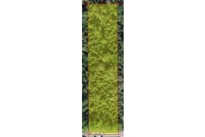 3367 36th Ave Se, Naples