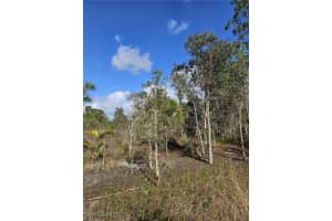  Godden Grove Rd, Fort Myers