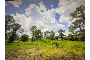 1201 Mcarthur Ave, Lehigh Acres