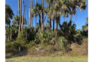17360 Inglewood Ave, Port Charlotte