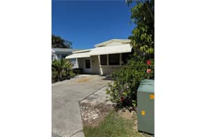 10848 Bonapartes Gull, Estero