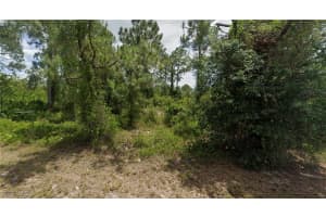 706 Brazos St E, Lehigh Acres