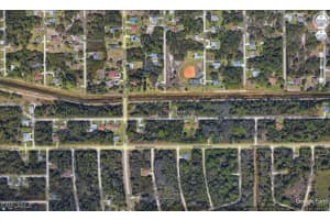 1011 Asther St E, Lehigh Acres