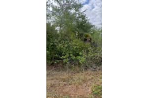 310 Jourferie Rd, Lehigh Acres