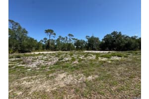 21084 Dearman Ave, Port Charlotte