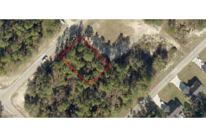 8009-1226-10 Sw 66th Avenue Rd, Ocala