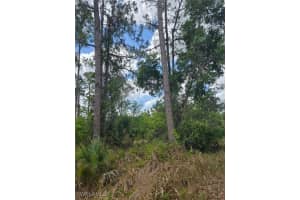2556 Randall Blvd, Naples