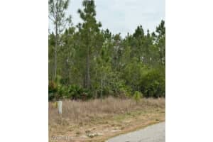 1014 Jackson Ave, Lehigh Acres