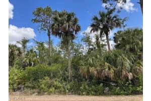 27xx 18th Ave Ne, Naples