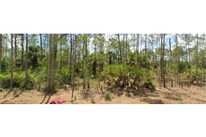 1857 Octavia St, Lehigh Acres