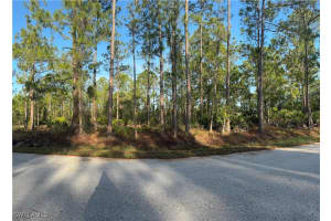 1221 Canton Ave, Lehigh Acres