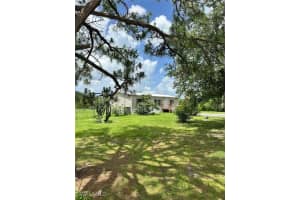 451 Bald Cypress, Clewiston 451 Bald Cypress, Clewiston