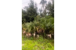 706 Delridge Ave S, Lehigh Acres