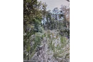 3010 Brownwood Dr, Sebring