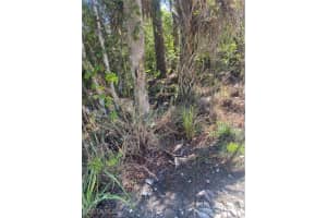  36th Ave Se, Naples
