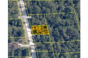 18170 Parakeet Rd, Weeki Wachee 18170 Parakeet Rd, Weeki Wachee