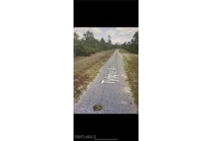 318 Tyrone Ave, Lehigh Acres