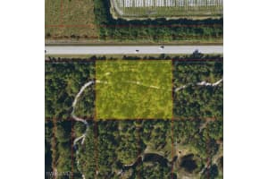 Immokalee Rd, Naples