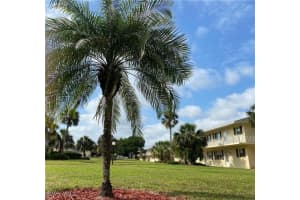 3325 Airport Rd N S8, Naples 3325 Airport Rd N S8, Naples