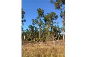 1109 Florence St E, Lehigh Acres