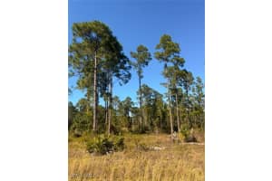 1107 Florence St E, Lehigh Acres