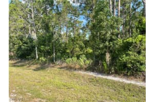 0 29th Ave Everglades Blvd, Naples 0 29th Ave Everglades Blvd, Naples