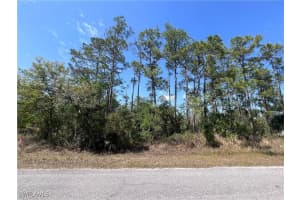 1317 Washington Ave, Lehigh Acres