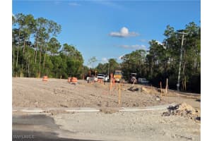 13541 E Terry St, Bonita Springs