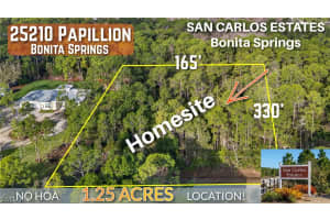 25210 Papillion Dr, Bonita Springs