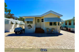 427 Vanda Sanctuary 427, Naples