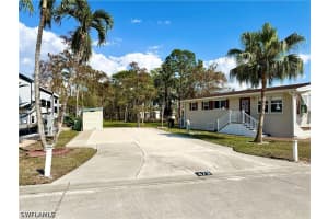 473 Vanda Sanctuary, Naples