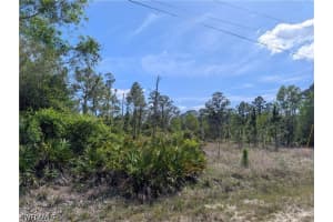 1042 Manning St, Lehigh Acres