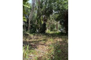 315 Buena Vista Blvd, Fort Myers 315 Buena Vista Blvd, Fort Myers