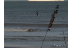 3150 N Atlantic, 12-550, Cocoa Beach