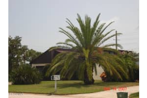 407 Willow Tree Drive, Melbourne 407 Willow Tree Drive, Melbourne