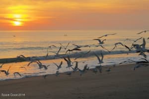 1525 N Highway A1a, 403, Indialantic