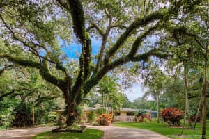 5430 Oak Canopy Way, Fort Lauderdale