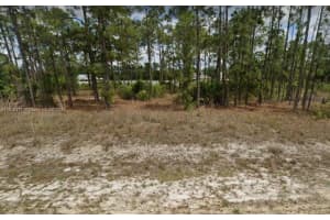 402 Abbott, Lehigh Acres