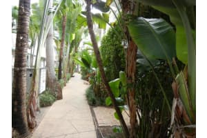 901 Euclid Ave 8, Miami Beach 901 Euclid Ave 8, Miami Beach