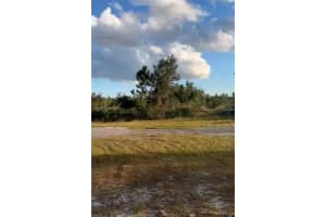 423 Gaillardia, Lake Wales