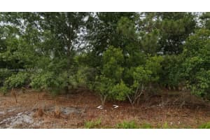 7947 Ancha St, Sebring