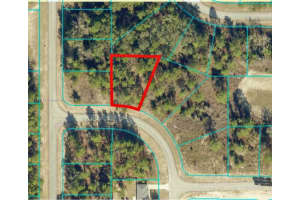 0000 Sw 39 Terrace, Ocala