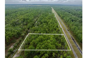 805 Japonica Ave, Lake Wales