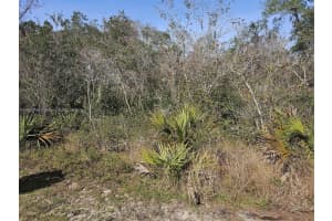 0 Undetermined, Ocala