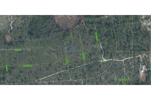 1136 Rustic Court, Sebring