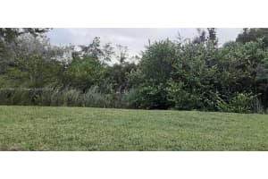 Xxx Xxx, Ocala